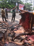 Raw Leather workers in Dhaka 