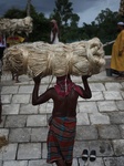 Jute Business In Bangladesh 