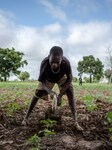 Burkina Faso, "The land of honest men"