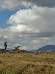 Father Krzysztof From Connemara