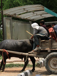 World Day Against Child Labour