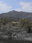 CYPRUS FOREST FIRE