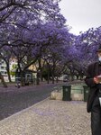 Daily Life In Lisbon Amid COVID-19 Pandemic