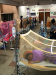  Dengue In Bangladesh