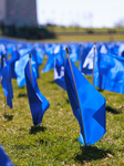 Colorectal Cancer Flag Installation On National Mall