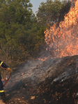 Wildfire Rages In Saronida Near Athens