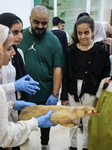 Festival Science Days Palestine