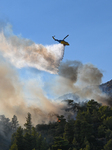 Wildfire Rages Near Prodromos Village In Boeotia