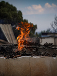 Wildfire On Mount Parnitha In Athens