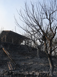 Parnitha Wildfire In Greece