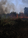 An Area Of   30 Hectares Of Forest And Burnt Land In Ogan Ilir, South Sumatra