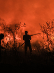 Peatland Fire In South Sumatra