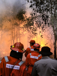 Forest Fire In South Sumatra