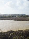 Flood Damage After The Storm Ciaran In Toscana