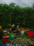 The Survivor Of Deadly Sinabung Volcano Eruption Portraiture 