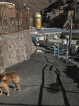 Village Of Imamzadeh Davood, More Than One Year After The Flash Flooding