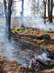 CalFire Manages A Prescribed Burn In Northern Calif. On Thursday, December 21, 2023. 