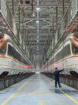 Bullet Train Maintenance in Nanjing.