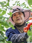 A Smart Farm in Kunshan.