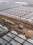 Greenhouse Construction in Congjiang.