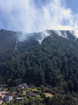 Forest Fires In Colombia