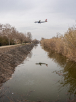  Drought Emergency In Catalonia: Llobregat Delta.