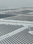 Photovoltaic Base Snow Scenery.