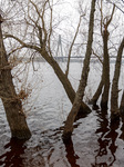 Water level in Dnipro River has risen in Kyiv.