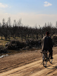 Climate Change In Kashmir 