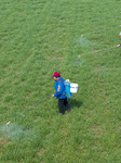 Farmers Spray Herbicides on Wheat in Suqian.