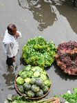 Waterlogged Marker In Dhaka