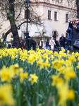 Spring In Poland