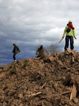 After 37 Days In The Trees To Block The Cut Of Trees For The A69 Highway, 'Ecureuils Climb Down