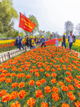 Blooming Flowers at Hongze Lake Wetland Scenic Spot in Suqian.