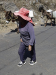 Faced With Water Shortages In Santa Cruz Acalpixca, Xochimilco, Residents Carry Water By Donkeys 