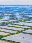 Organic Crab Breeding Base in Suqian.