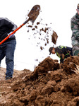 Volunteers Plant Trees in Zhangye.