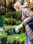 Spring Vegetables Are Ready To Buy In Poland