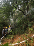 Forest Fire Ravages Parts Of Nepal With Onset Of Summer