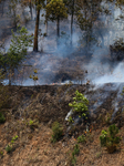 Forest Fire In Nepal