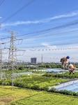 A 500-kilovolt Line Renovation Project in Wuxi.