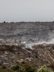 Cyprus : Wildfire Aftermath