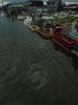 Public Grave Submerged By Tidal Flood 