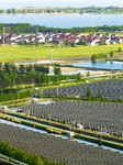 Fishery-solar Hybrid in Lianyungang.