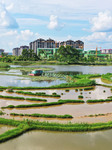  Wetland Ecosystem Products Value Accounting in Chongqing.