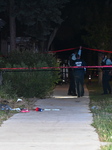 22-year-old Female Critically Wounded In Shooting In Chicago Illinois