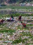 Plastic Waste In The Citarum River 