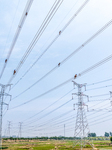 Transmission Line Acceptance in Nanjing.