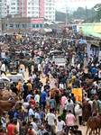 Eid Al-Adha Preparation In Bangladesh