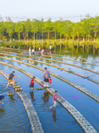 Tourists Enjoy Cool Water in Suqian.